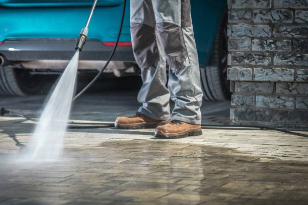Best Dumpster Area Cleaning  in Sea Bright, NJ