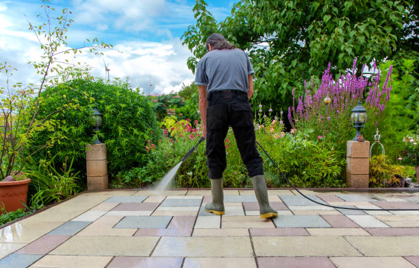 Best Driveway Pressure Washing  in Sea Bright, NJ